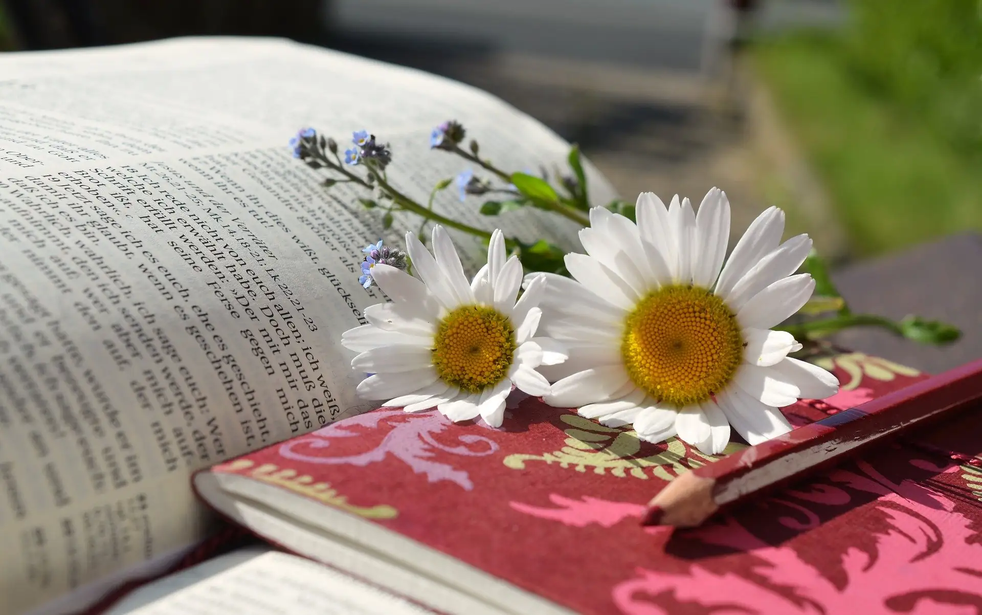 [Article #3] – LA LECTURE ET L&rsquo;ECRITURE VONT-ELLES DE PAIR ? (6 Points) – 3 Bonus