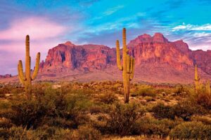 Interview de Sonja Kourakine