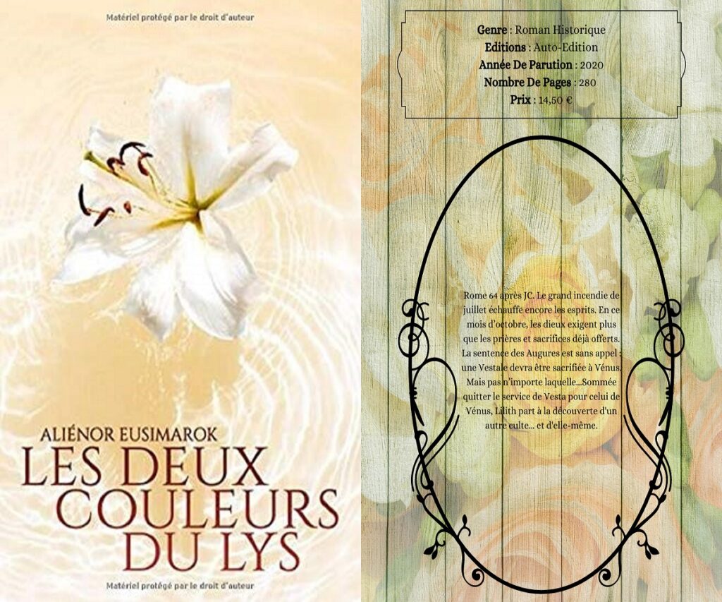 Historique de Aliénor Eusimarok : " Les Anges D'Aciers - Tome 1 - L'Escadrille "