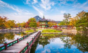 Interview de Marine Stengel