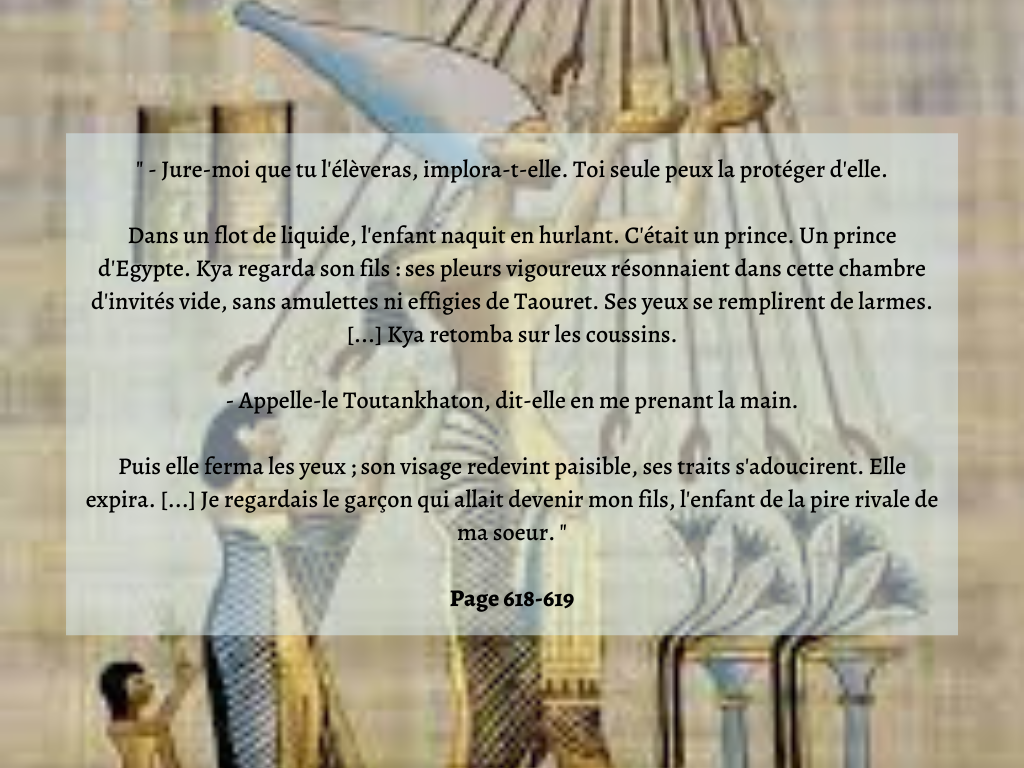 Fiction de Michelle Moran : " Les Rêves De Néfertiti "