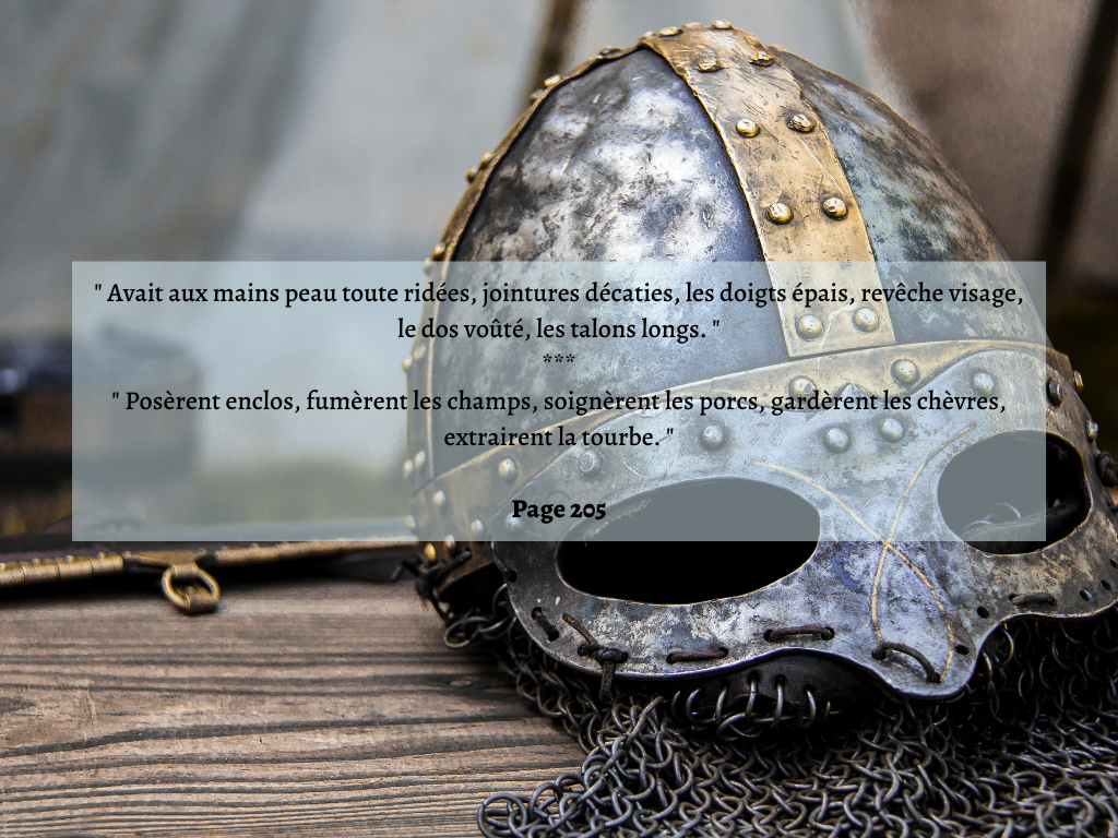 Historique de Anders Winroth : " Au Temps Des Vikings "